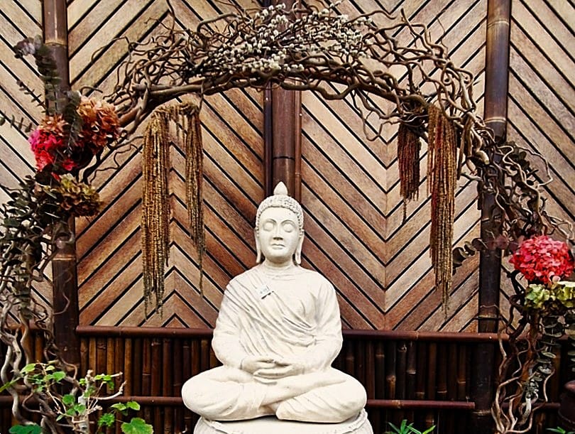 Viveros Guzmán - yllättävä puutarhakeskus Málagassa