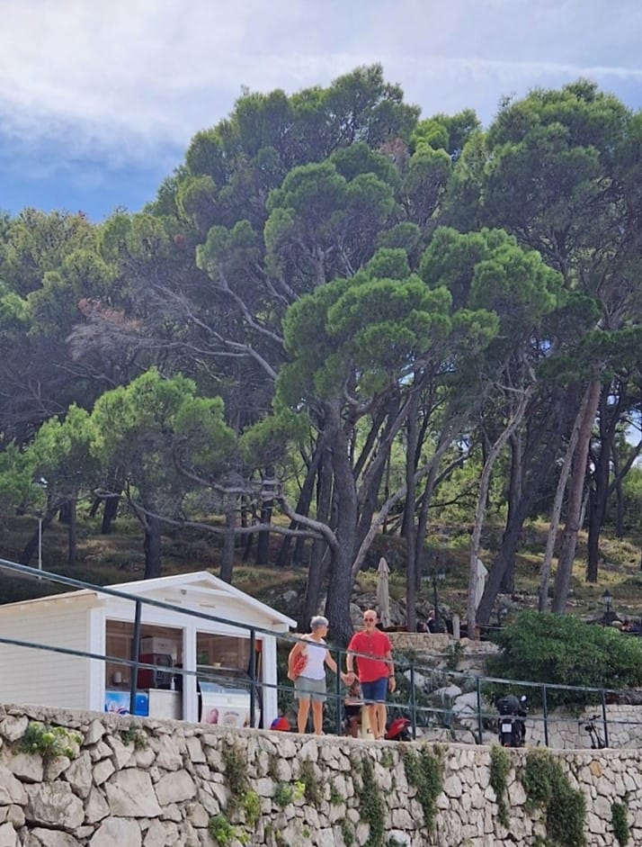 Cavtat uimaranta - Kohti avaraa maailmaa