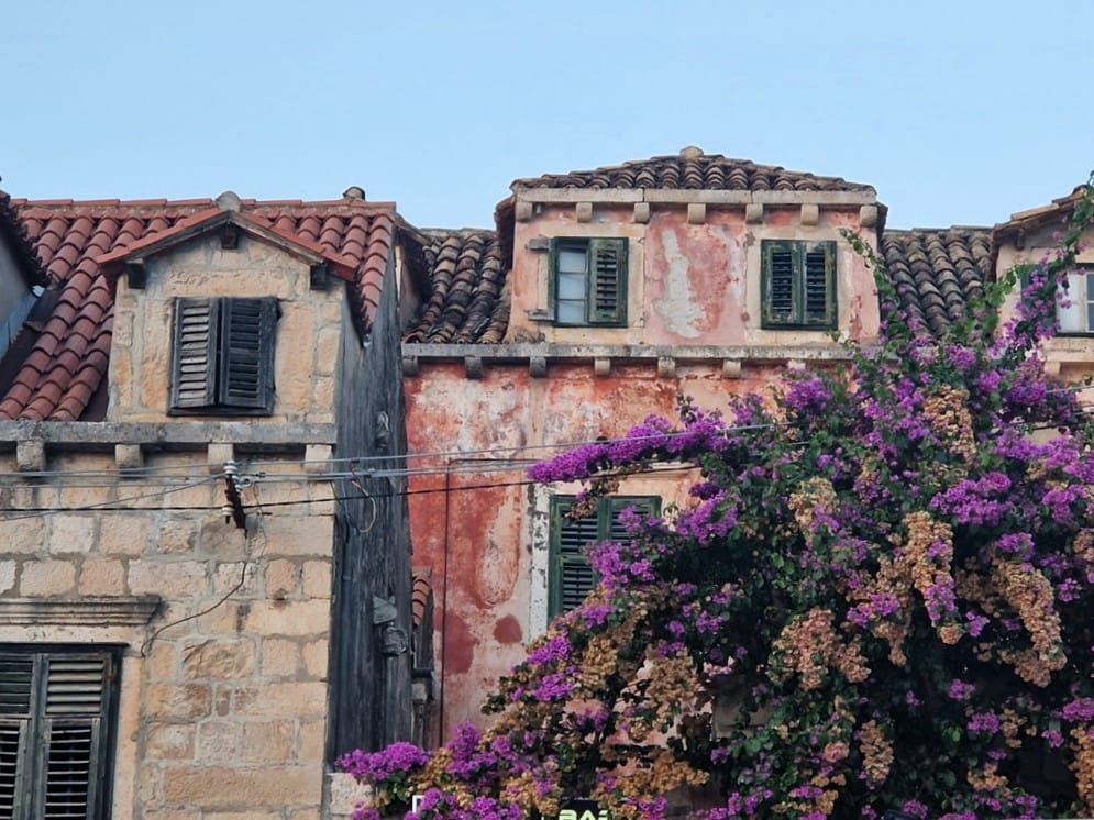 Cavtat - Kohti avaraa maailmaa