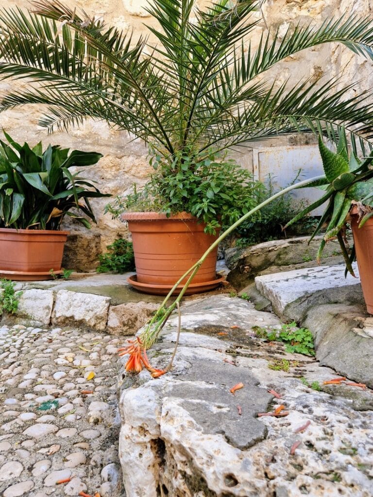 Dubrovnik - Adrianmeren helmi vai pelkkä turistirysä?