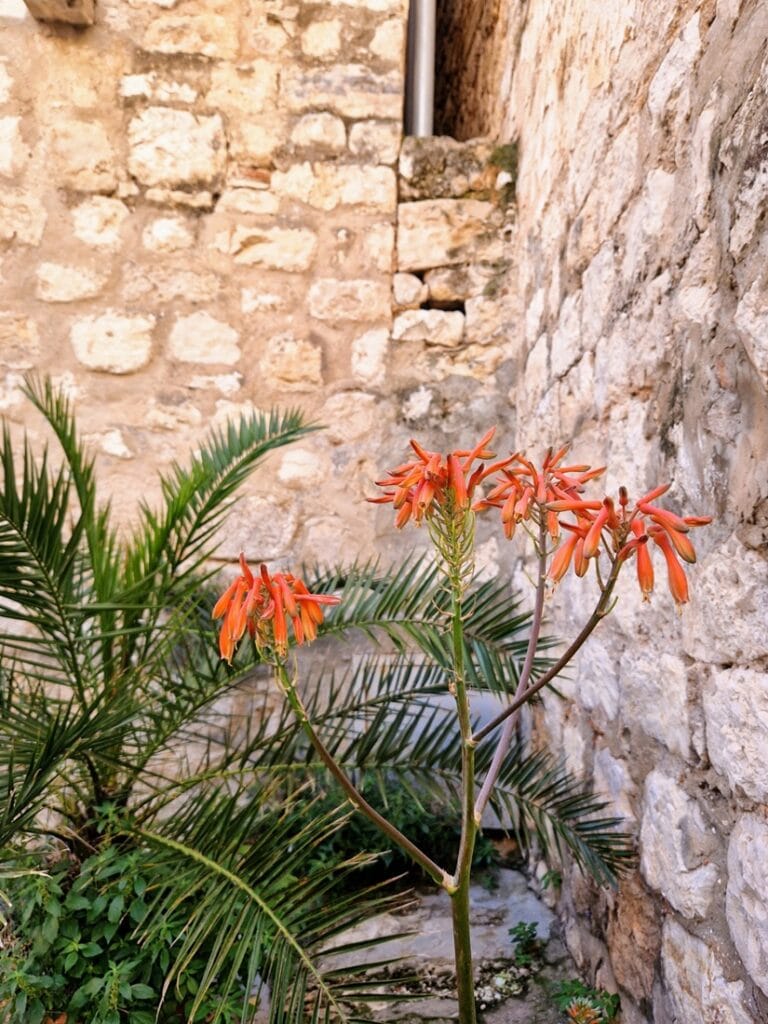 Dubrovnik - Adrianmeren helmi vai pelkkä turistirysä?