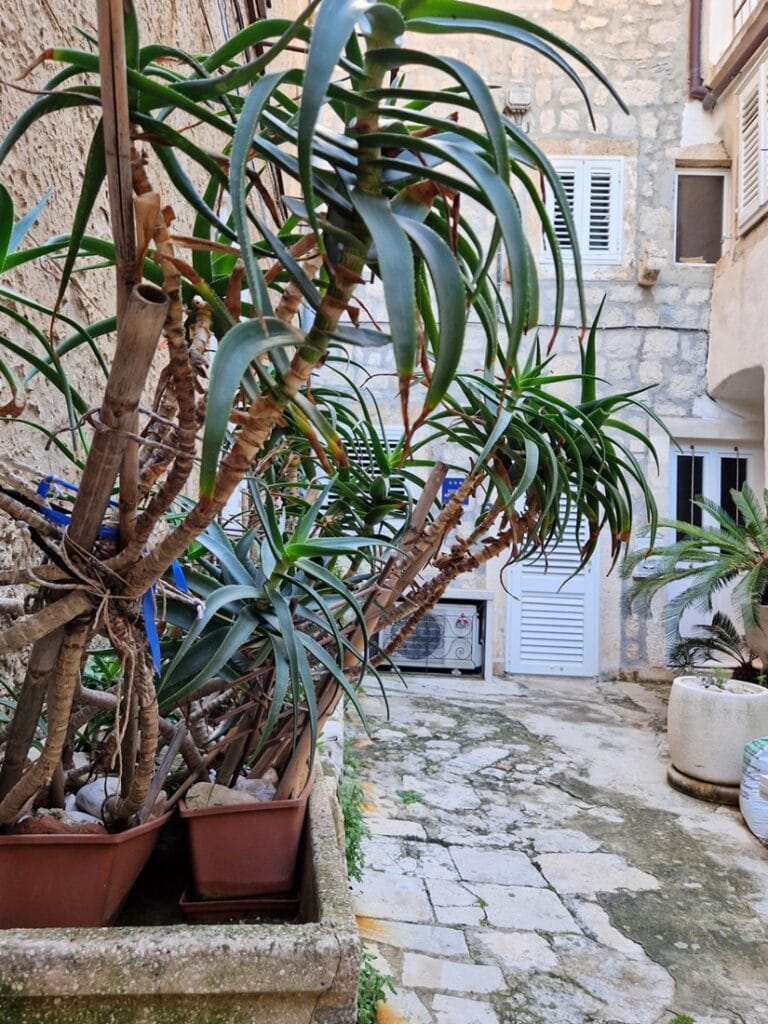 Dubrovnik - Adrianmeren helmi vai pelkkä turistirysä?