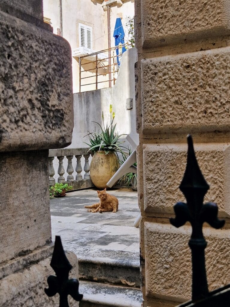 Kissoja Dubrovnikissa - Kohti avaraa maailmaa