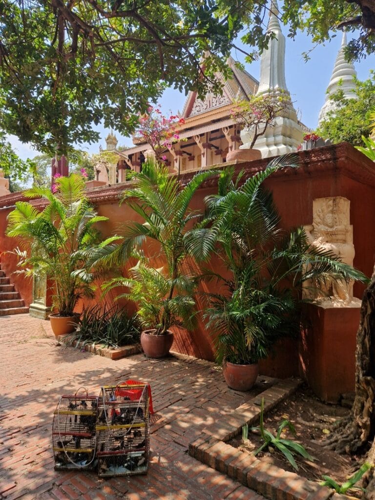 Wat Phnom - Kohti avaraa maailmaa