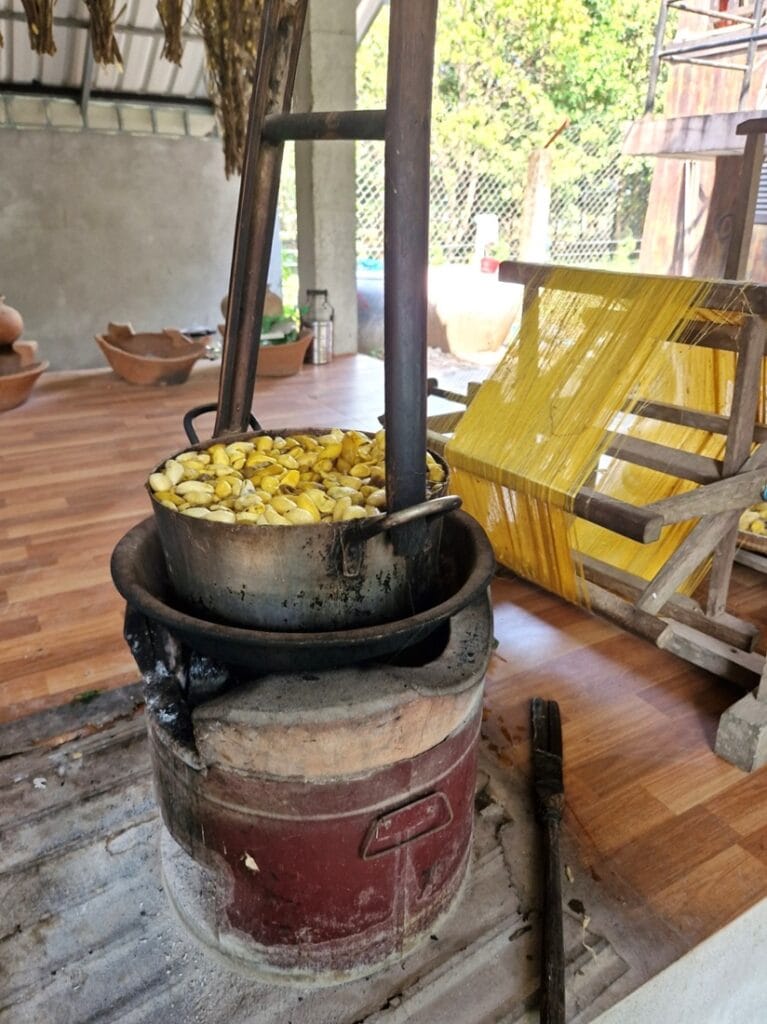 Silk Island - Kohti avaraa maailmaa