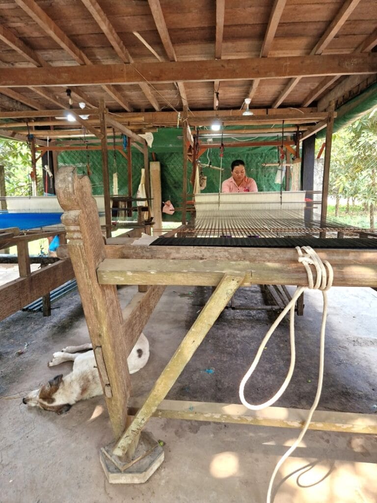 Silk Island - Kohti avaraa maailmaa