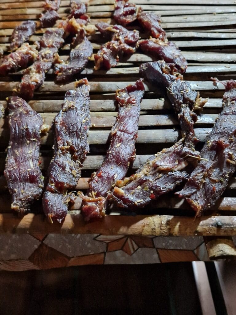 Rottia? - Kohti avaraa maailmaa