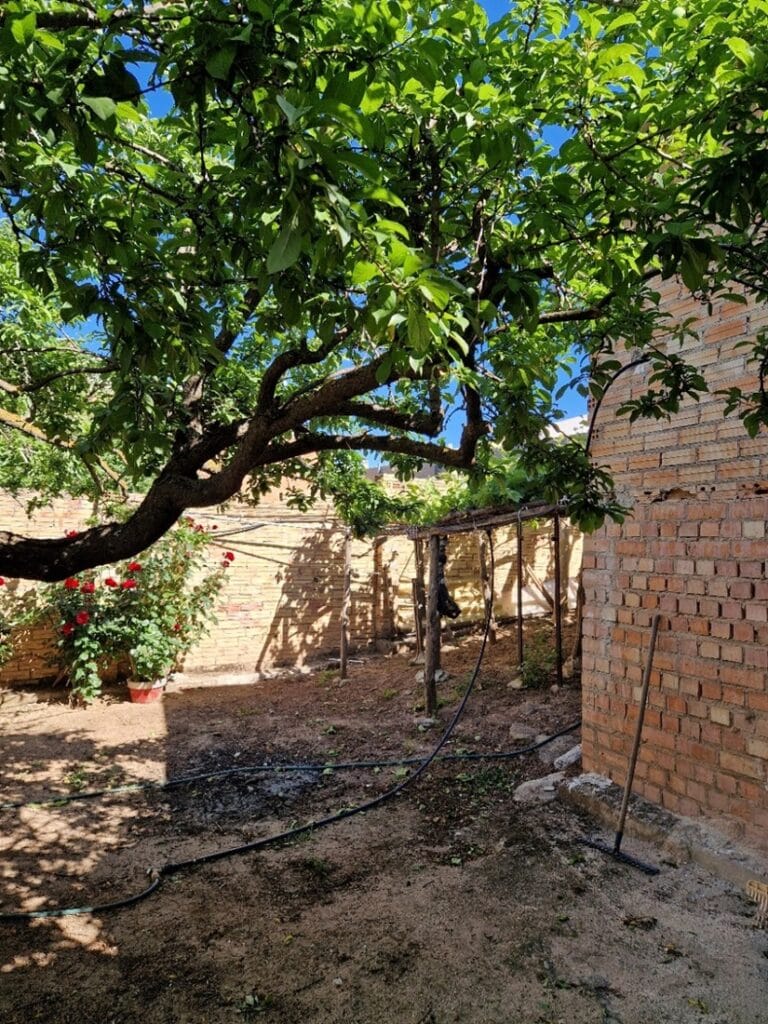 Villanueva del Rosario Kohti avaraa maailmaa