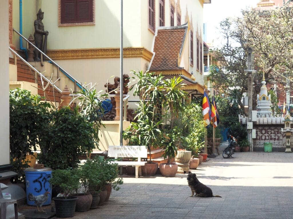 Wat Ounalom - Kohti avaraa maailmaa