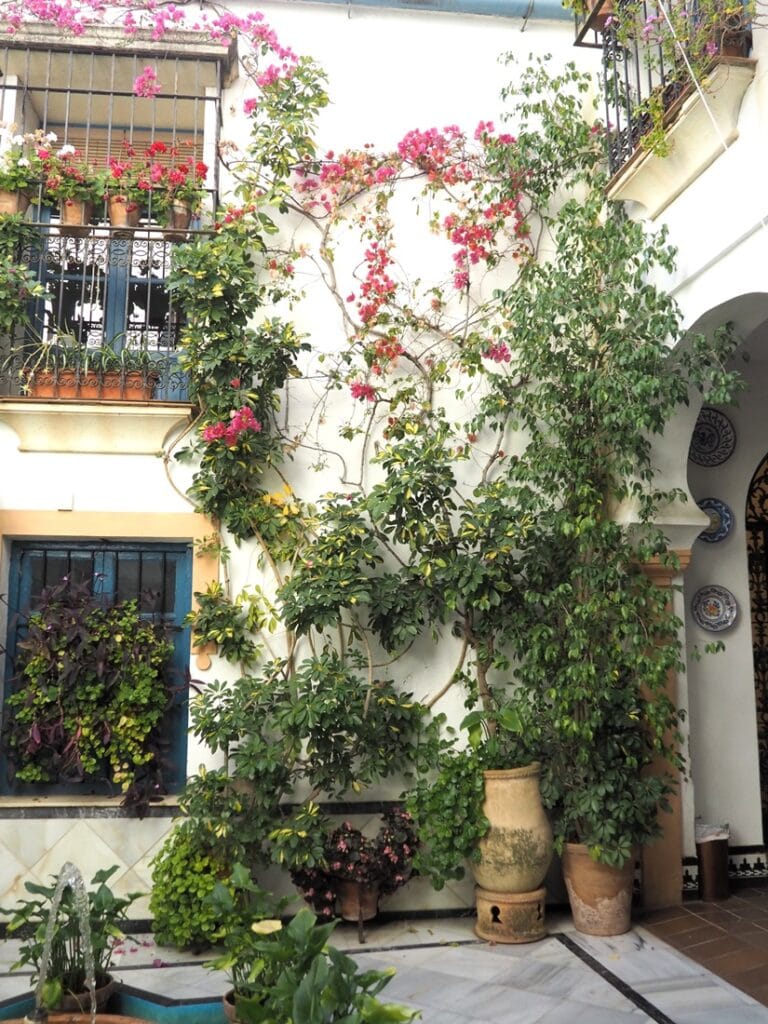 Festival de los Patios de Córdoba - Kohti avaraa maailmaa