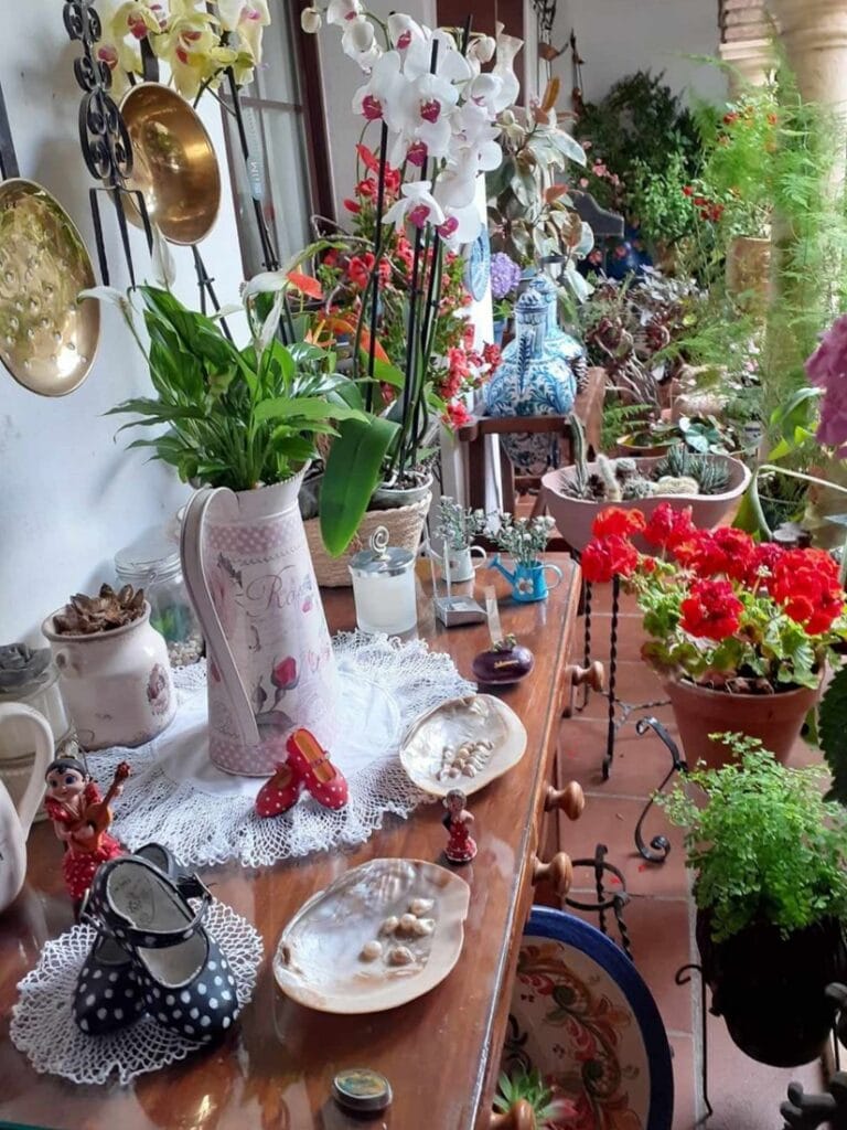 Festival de los Patios de Córdoba - Kohti avaraa maailmaa