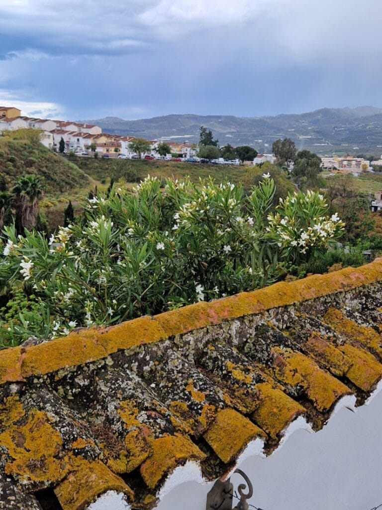 Finca la Loma - Kohti avaraa maailmaa