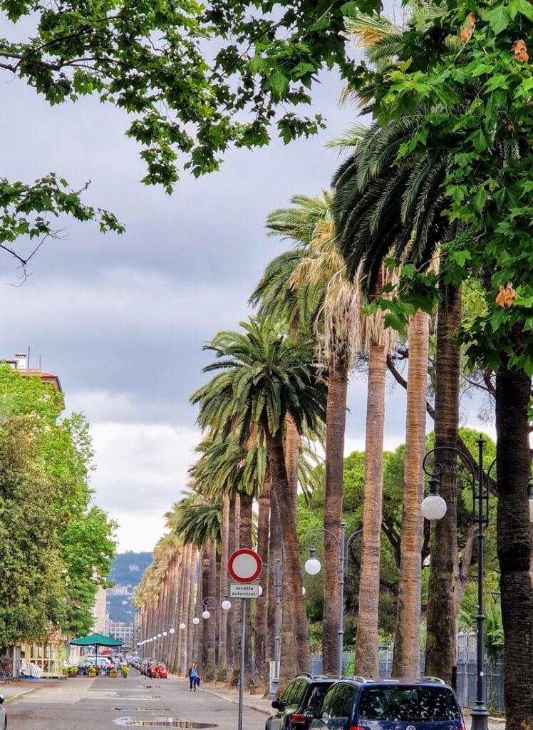 Giardini Pubblici La Spezia - Kohti avaraa maailmaa