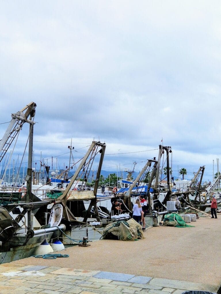 Passeggiata Morin - Kohti avaraa maailmaa