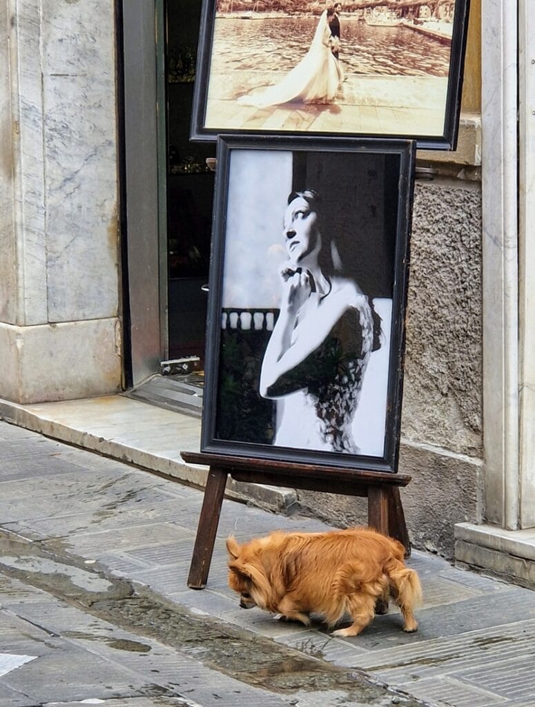 La Spezia - Kohti avaraa maailmaa