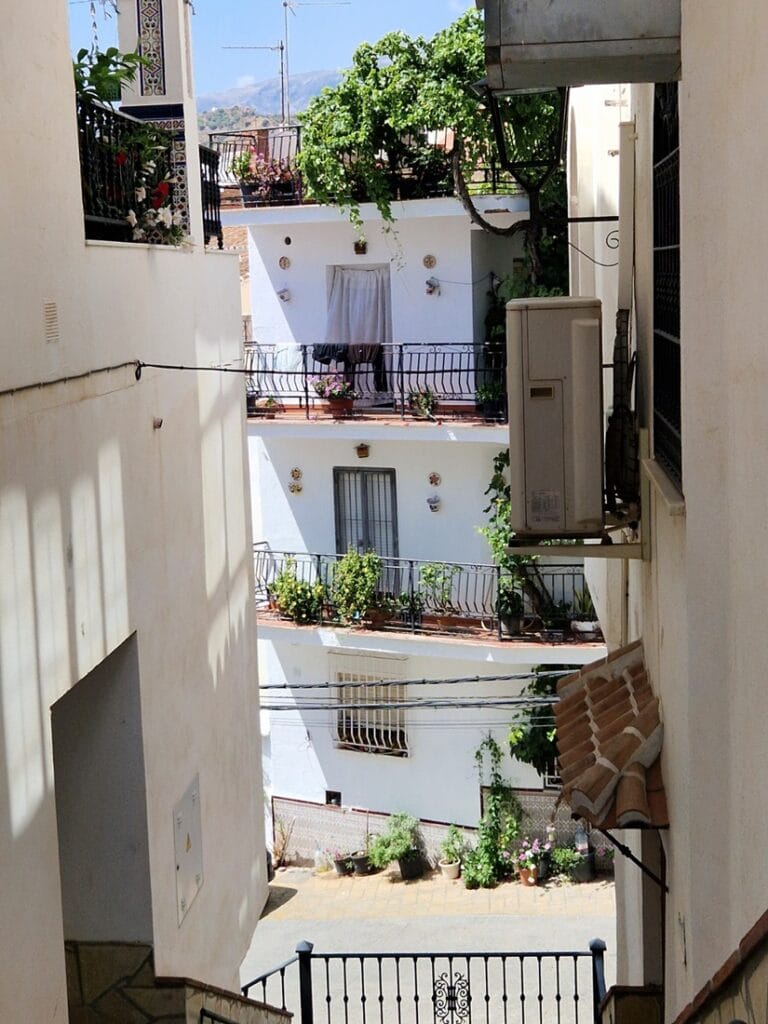 Sayalonga - Kohti avaraa maailmaa