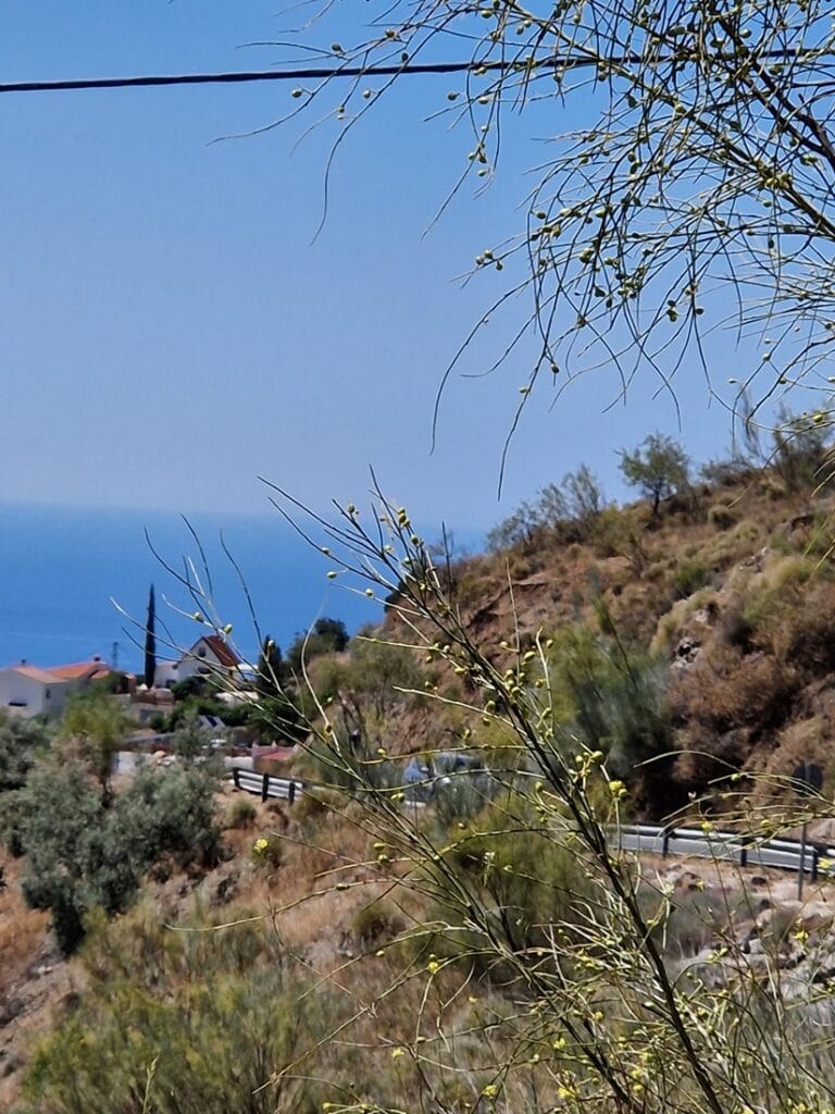 Moclinejo - Kohti avaraa maailmaa