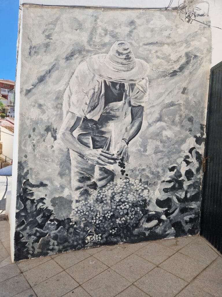 Moclinejo - Kohti avaraa maailmaa