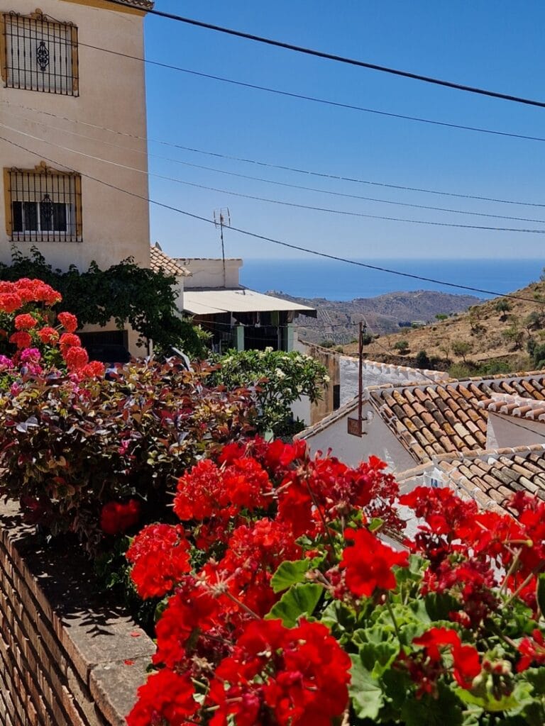 Moclinejo - Kohti avaraa maailmaa