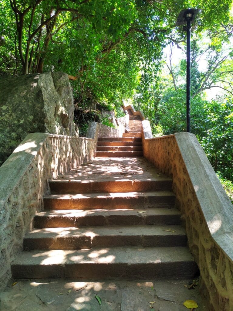 Dambulla - Kohti avaraa maailmaa