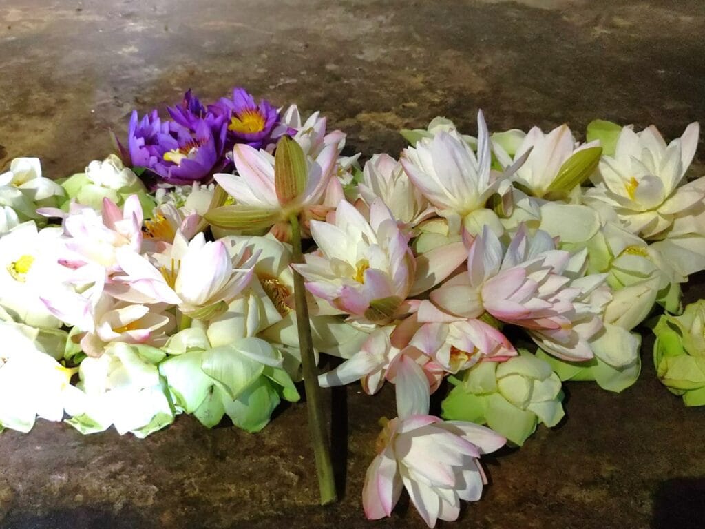 Dambulla - Kohti avaraa maailmaa