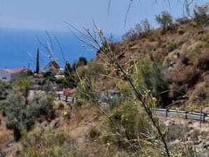 Talon etsintä Espanjasta osa 7 - Axarquía ja Costa Tropical