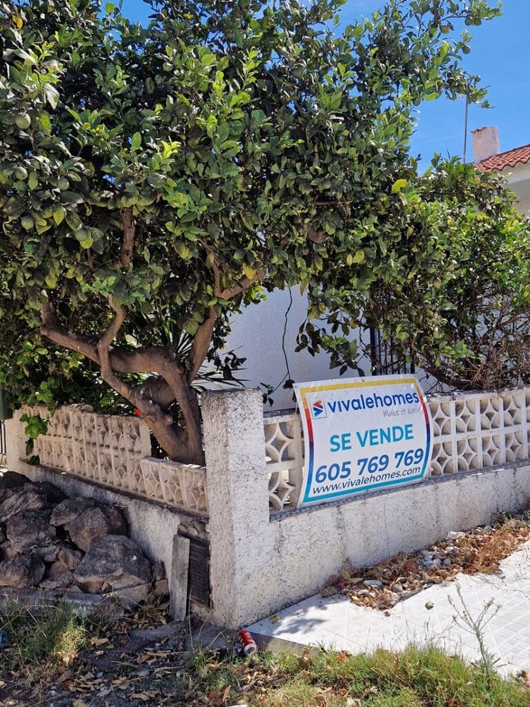 Torrevieja - Kohti avaraa maailmaa