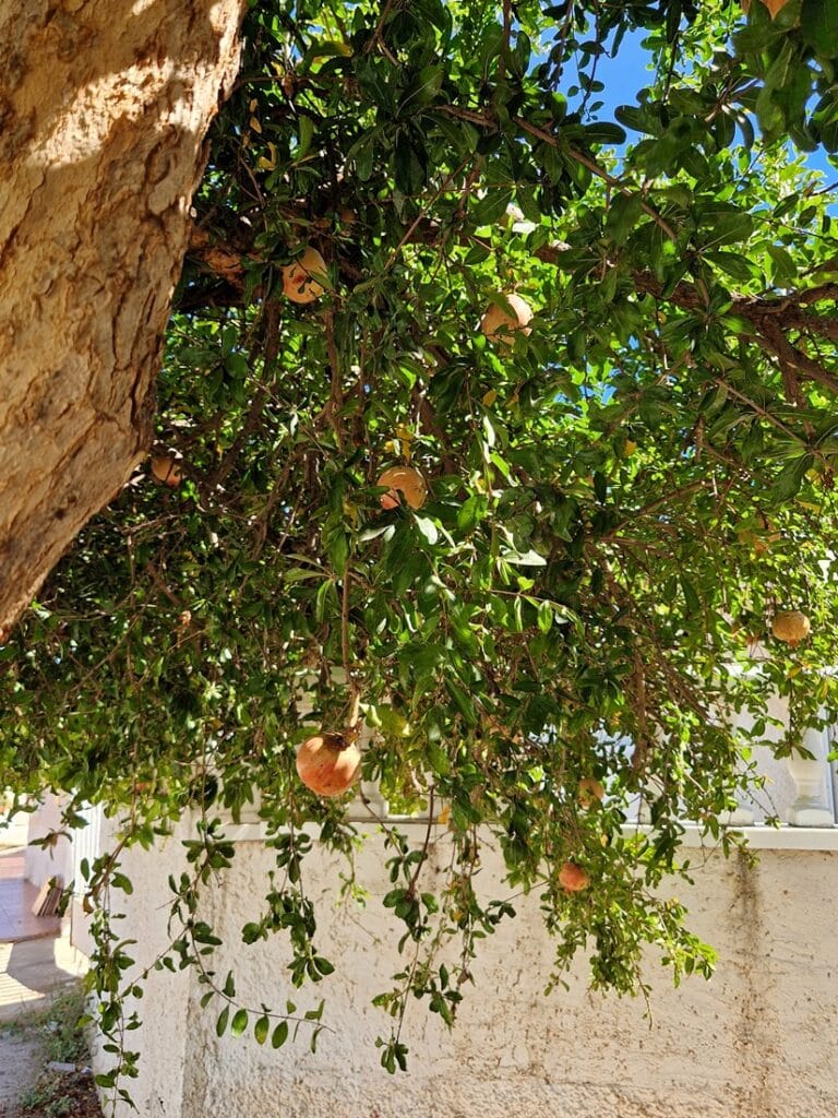 Torrevieja - Kohti avaraa maailmaa