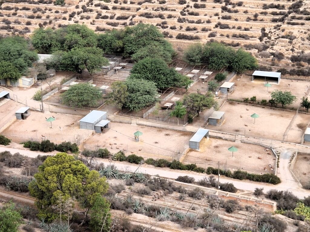 Alcazaba de Almería - Kohti avaraa maailmaa