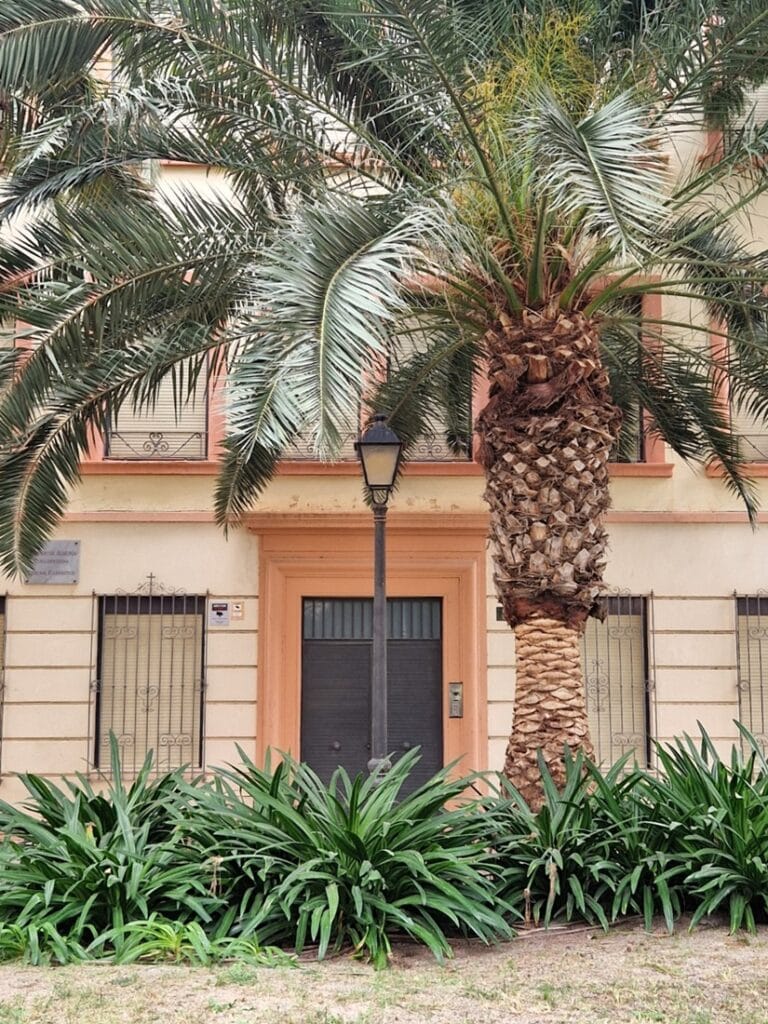 Almería - Kohti avaraa maailmaa