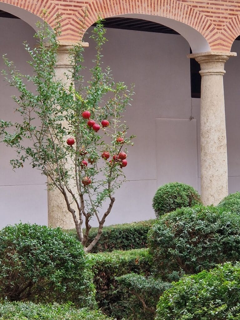 Monasterio de las Puras Almería - Kohti avaraa maailmaa