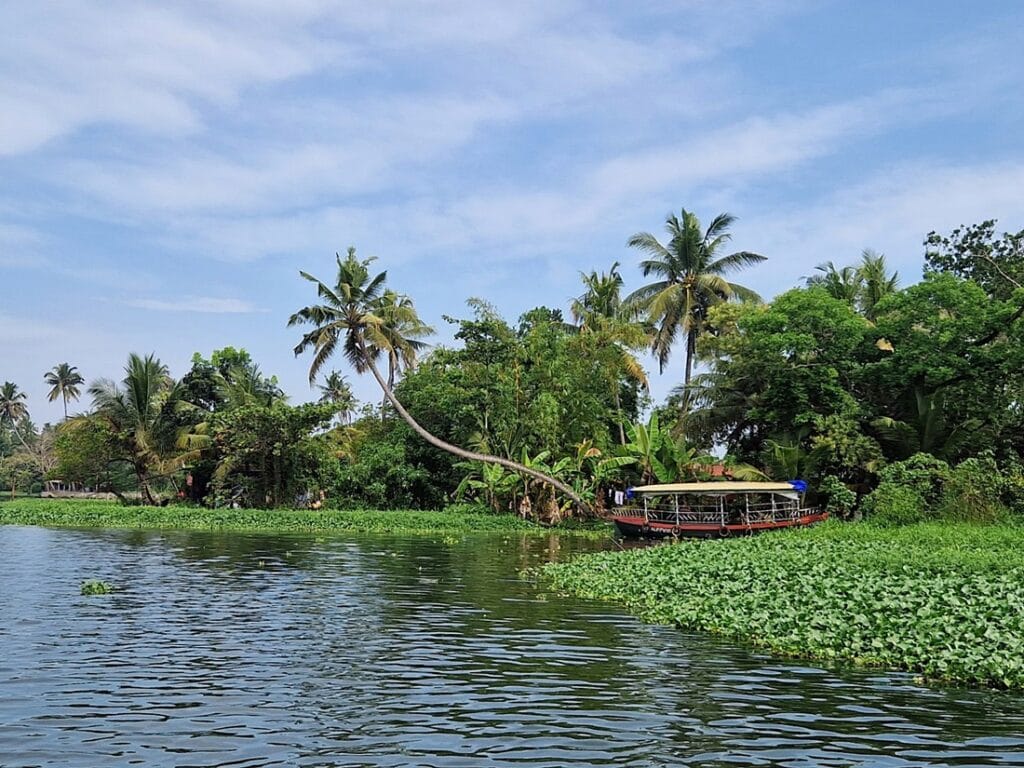 Shikara Alappuzha Backwaters - Kohti avaraa maailmaa