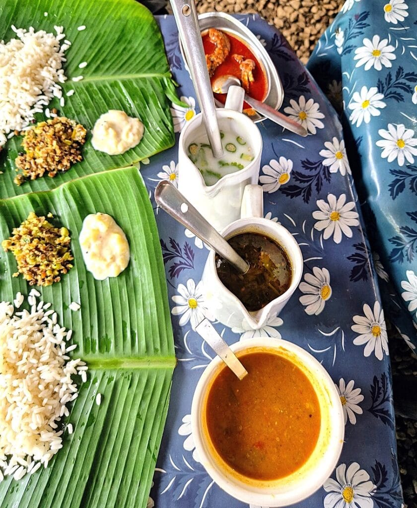 Keralan backwaters - Kohti avaraa maailmaa