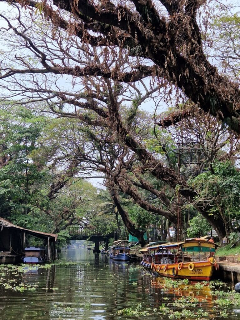 Keralan backwaters - Kohti avaraa maailmaa