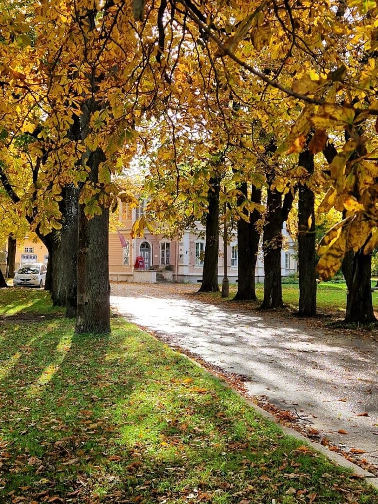 E. Vilden museo - Kohti avaraa maailmaa