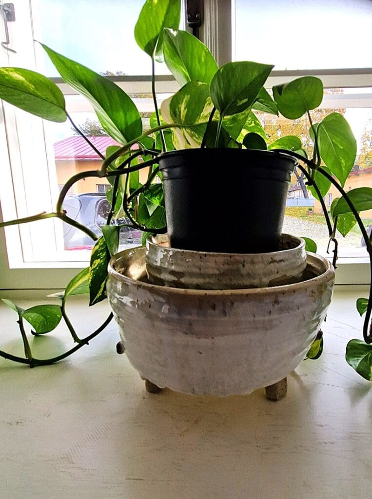 E. Vilden museo - Kohti avaraa maailmaa