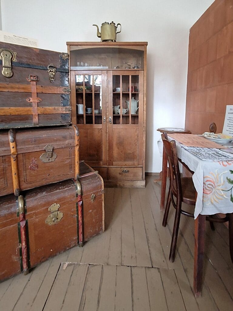 E. Vilden museo - Kohti avaraa maailmaa