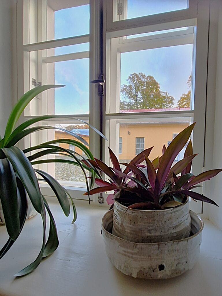 E. Vilden museo - Kohti avaraa maailmaa