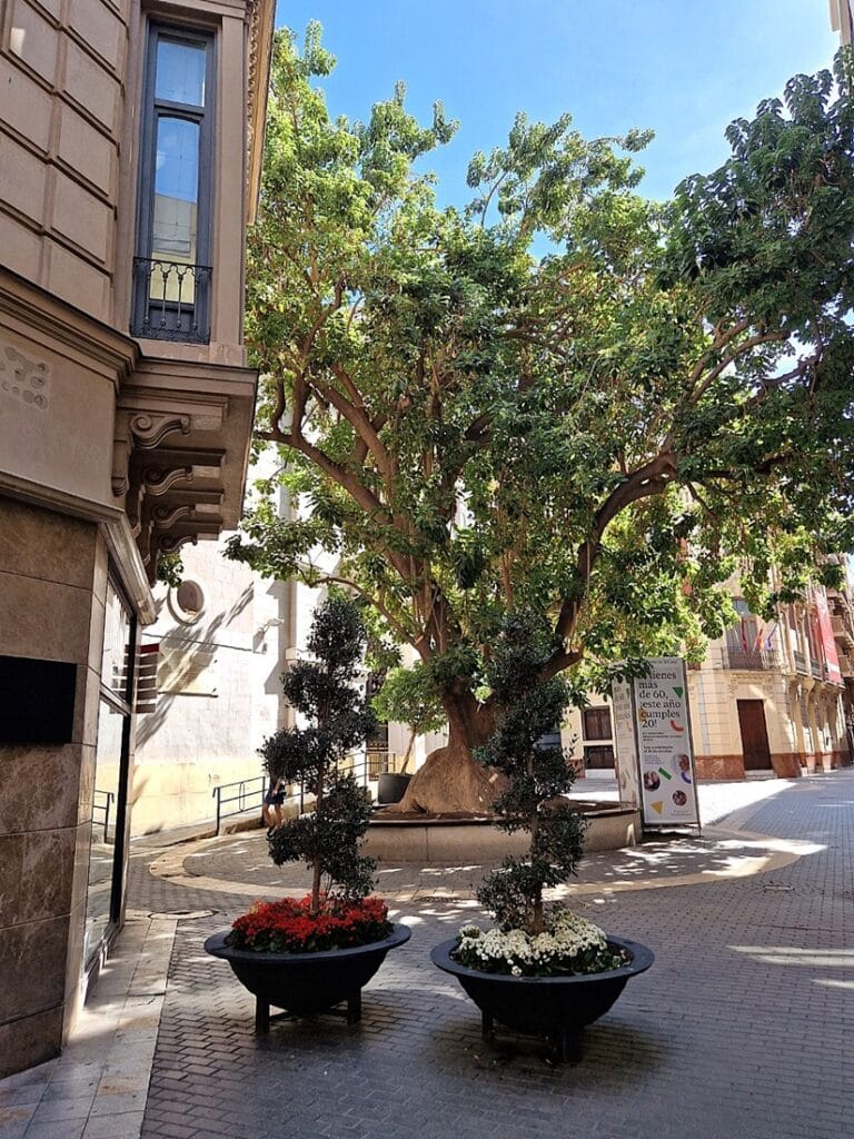 Murcia - Kohti avaraa maailmaa