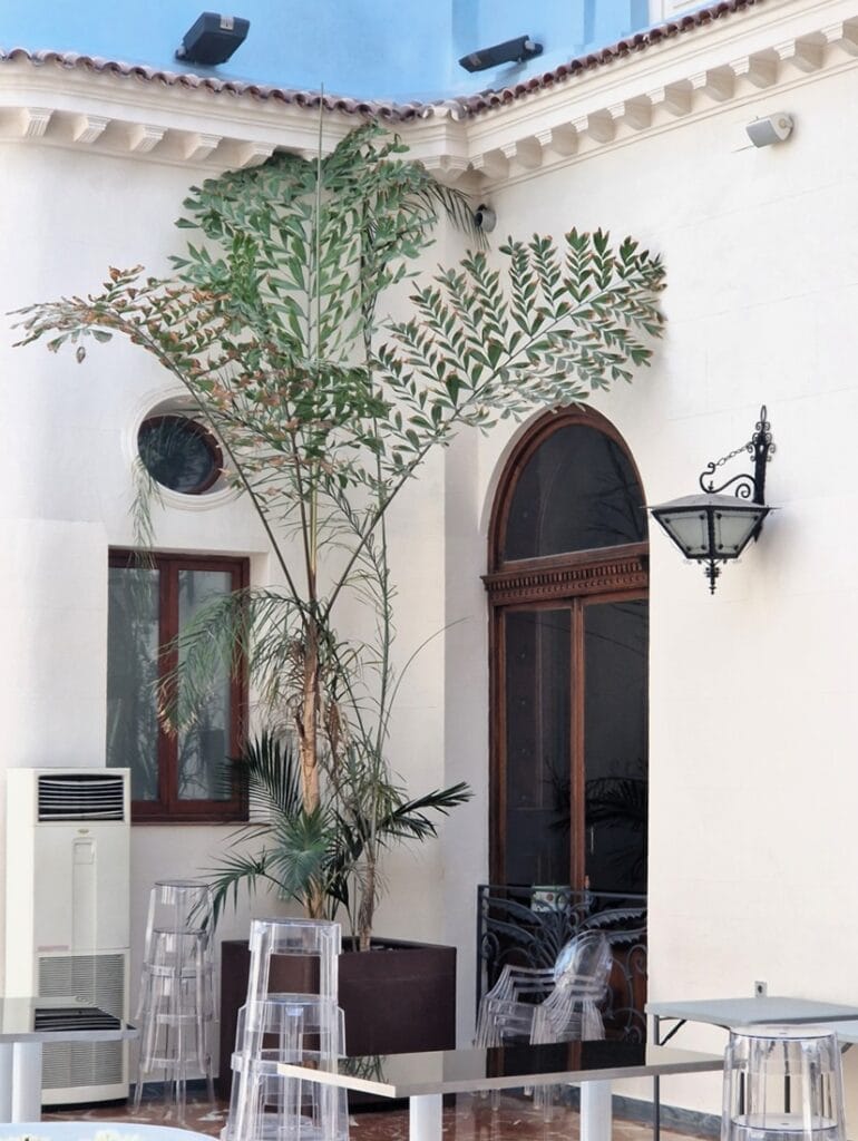 Real Casino de Murcia - Kohti avaraa maailmaa