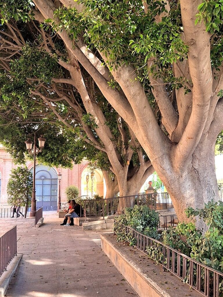 Talon etsintä Espanjasta osa 11: Murcia