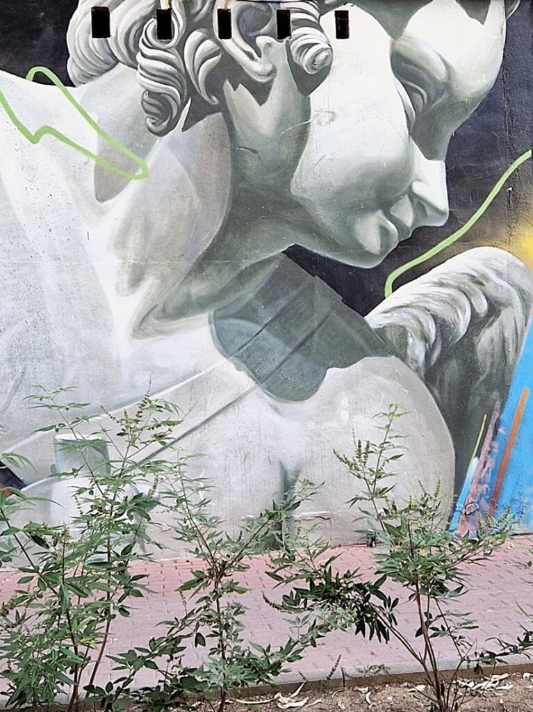 Talon etsintä Espanjasta osa 11: Murcia