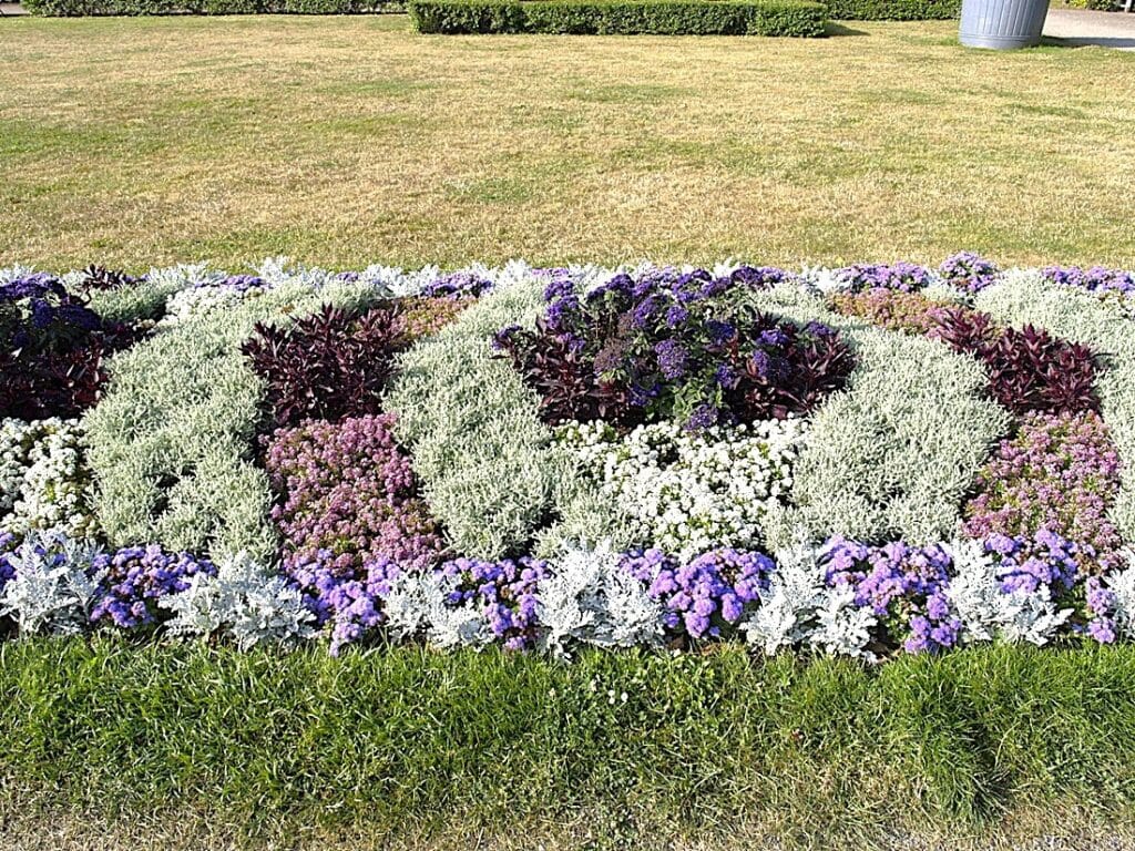 Kadriorgin puisto - Kohti avaraa maailmaa