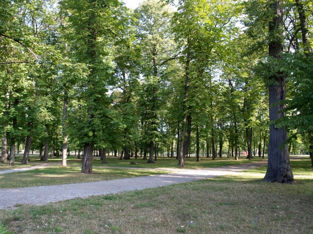 Kadriorg - Kohti avaraa maailmaa