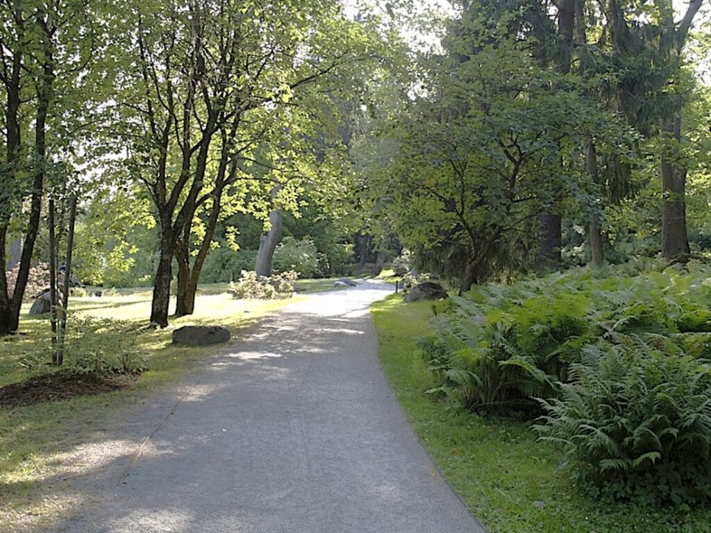 Kadriorgin japanilainen puutarha - Kohti avaraa maailmaa