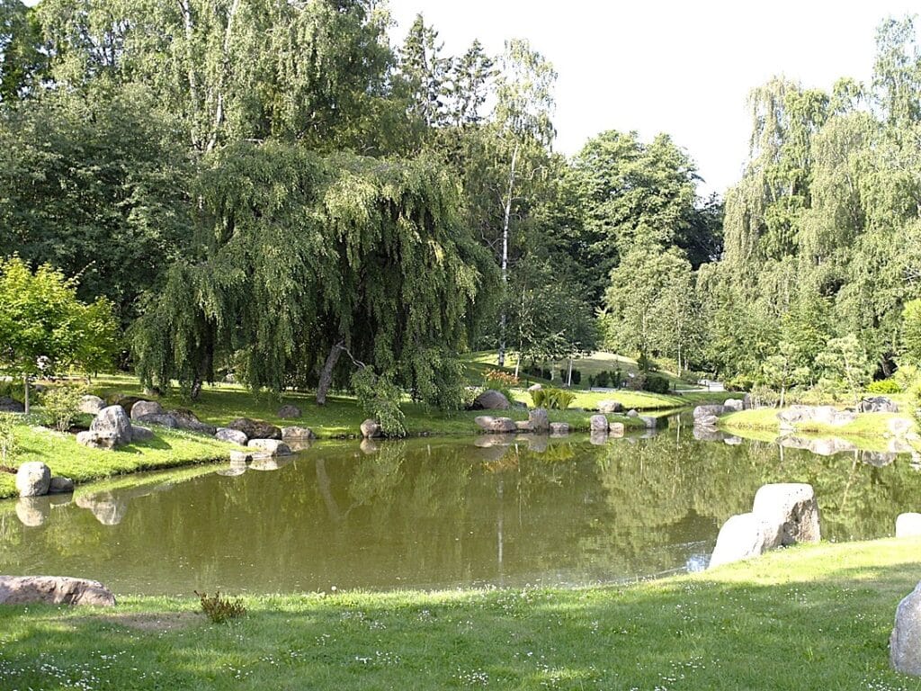 Kadriorgin japanilainen puutarha - Kohti avaraa maailmaa