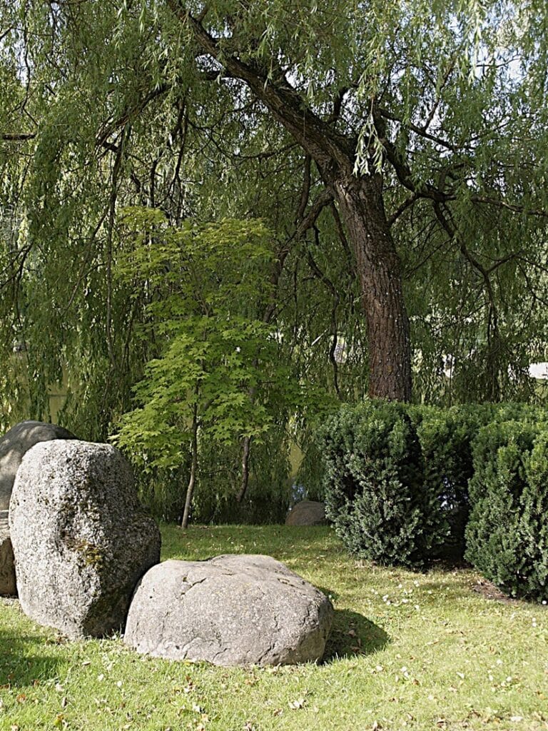 Kadriorgin japanilainen puutarha - Kohti avaraa maailmaa