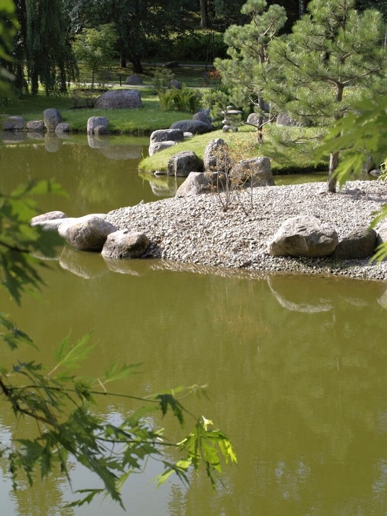 Kadriorgin japanilainen puutarha - Kohti avaraa maailmaa