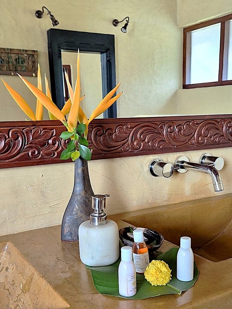 Ameya - Kohti avaraa maailmaa