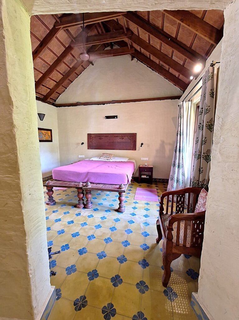 Ameya - Kohti avaraa maailmaa